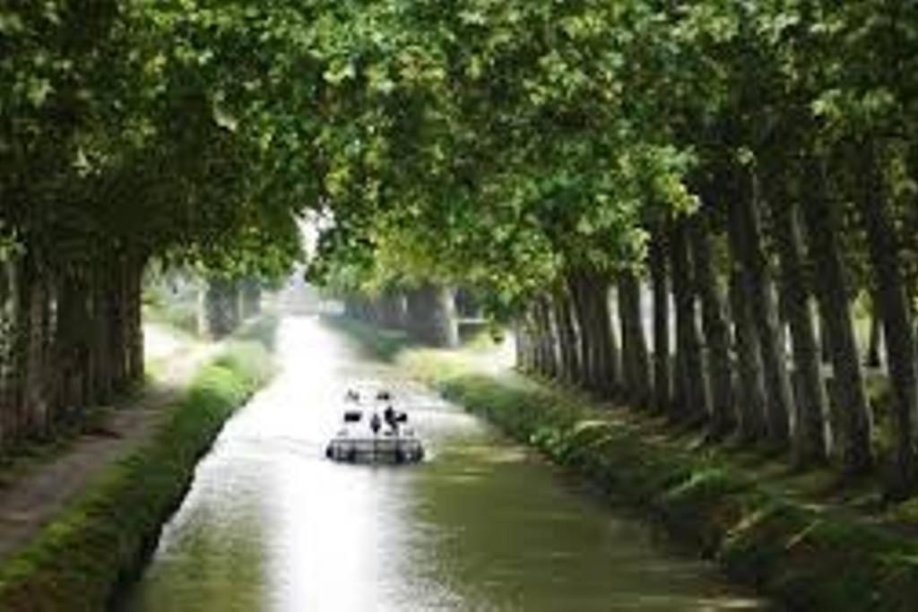 Le Prieure - Studios Jusqu'A 4 Personnes Villeneuve-lès-Béziers Exteriör bild